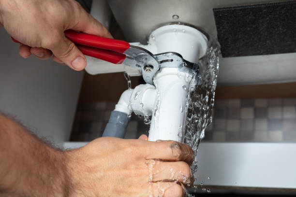 Best Flooded house restoration  in Murraysville, NC