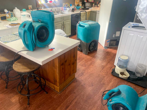 Best Local water damage restoration  in Murraysville, NC