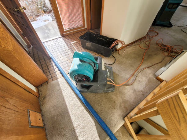  Murraysville, NC Water damage restoration Pros