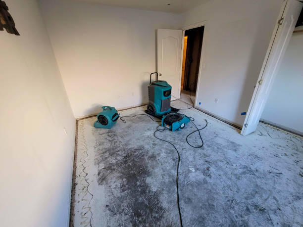 Best 24-hour water damage restoration  in Murraysville, NC
