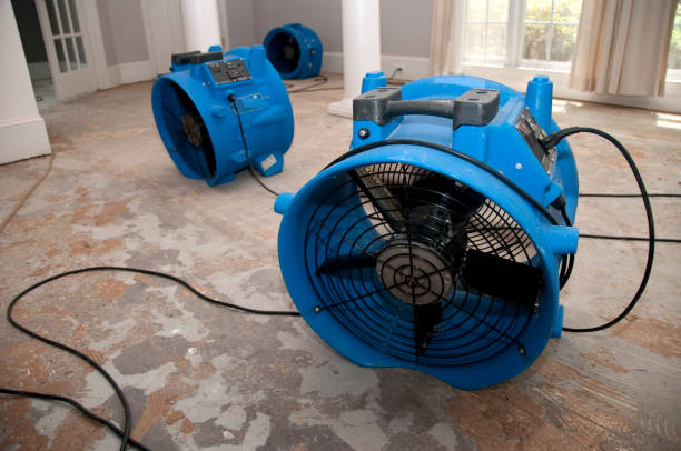 Best Sewage cleanup and water damage restoration  in Murraysville, NC