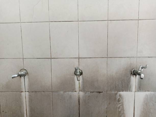 Best Ceiling water damage repair  in Murraysville, NC