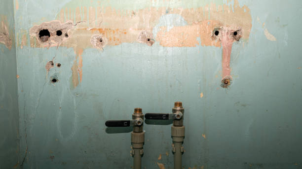 Best 24/7 water damage repair  in Murraysville, NC