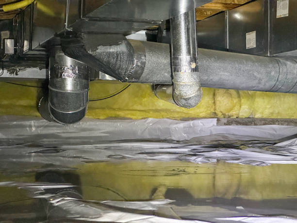 Best Water damage restoration near me  in Murraysville, NC