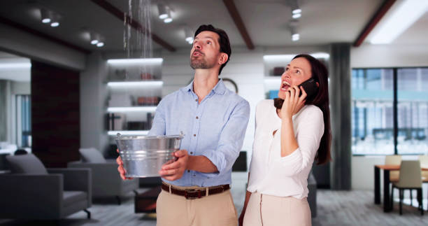 Best Flooded house restoration  in Murraysville, NC